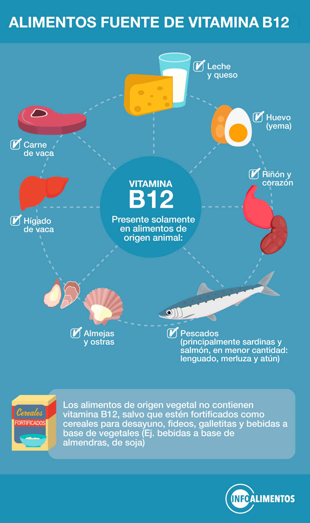 Infografia VITAMINA B12 placa1