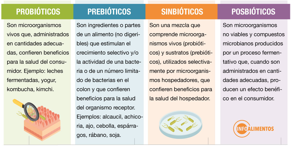 cuadro probioticos