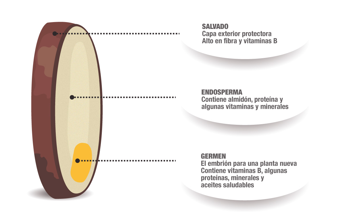 Imagen interna Harinas